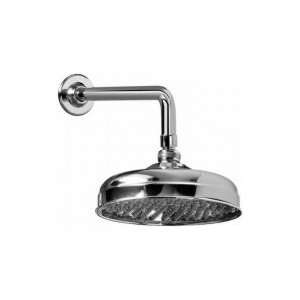   Contemporary Showerhead with Ceil Ing Arm In Antiqu: Home Improvement
