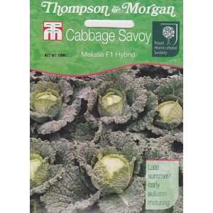  Melissa Hybrid Savoy Cabbage Seeds   100 mg: Patio, Lawn 