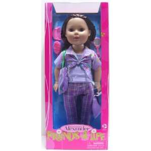   Alexander, 18 Doll Friends 4 Life Brown haired Doll Toys & Games