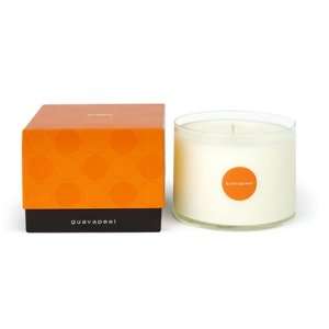  Bluewick Groove 15 oz Tumber Soy Candle   Guavapeel 