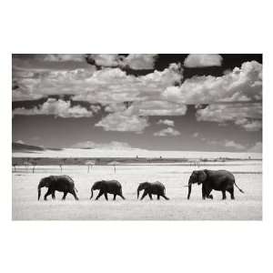  Andy Biggs   Elephants And Clouds Giclee: Home & Kitchen
