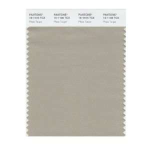  PANTONE SMART 16 1105X Color Swatch Card, Plaza Taupe 