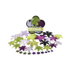  Dahlia Large Flower Box Blends: Lavender, Purple, Green 
