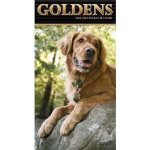  (4x7) Goldens 2013 14 Pocket Planner Calendar