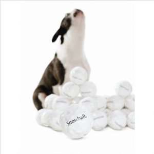  Planet Dog Orbee Tuff Snowball: Pet Supplies