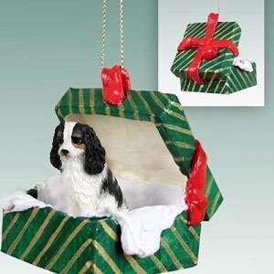  Tricolor Cavalier in a Green Box Ornament: Home & Kitchen