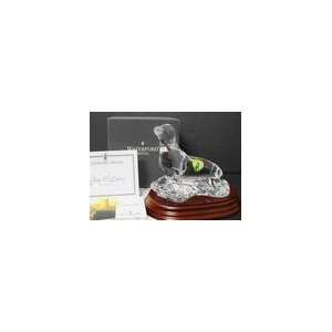 WATERFORD CRYSTAL SEA LION SEAL FIGURINE   New 