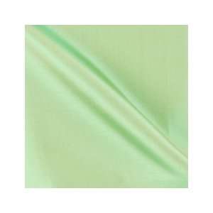  Solid Mint Leaf 31904 253 by Duralee Fabrics