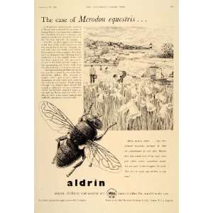  1956 Ad Shell Aldrin Narcissus Bulb Fly Daffodil Insect 