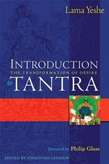   Tantra The Path of Ecstasy by Georg Feuerstein 