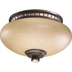 Quorum International 2288 9124 Ashfield Bronze Ceiling Fan Light 