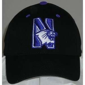 Northwestern Wildcats One Fit NCAA Cotton Twill Flex Cap (Black)