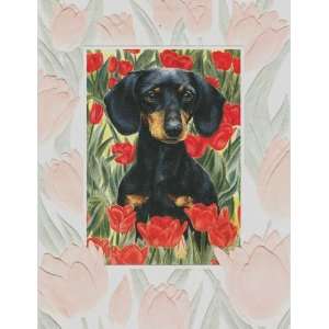  Dachshund Blank Notecards Doxie Delight Health 