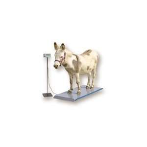   Vet Scale   OneDigitalScales (800)620 7811