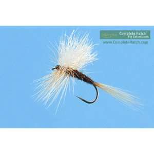   12 Flies, Fly Box, Fly by Fly Fishing Instructions