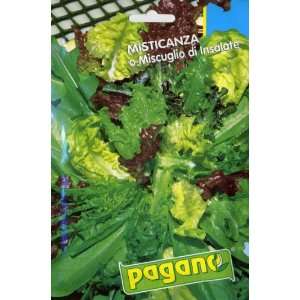  Pagano 1422 Mesclun (Misticanza) Spicy Mixed Salad Seed 