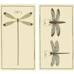   Dragonfly Large Decorative Wood Matches Set Of 3: Home & Kitchen