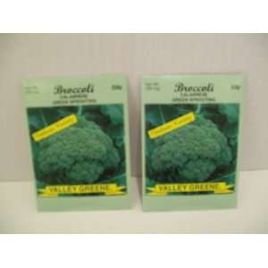  Broccoli Calabrese Green Sprouting Seeds (2 Packs) Patio 