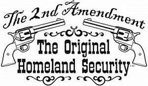 GUN CONTROL HOMELAND SECURITY 2ND AMENDMENT TSHIRT TEE  