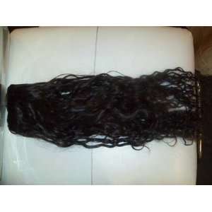   dark brown long   curly 18in  100% human hair. $1600 Beauty