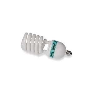   85W Studio Light Bulb 5500K CFL Day Light: Home Improvement