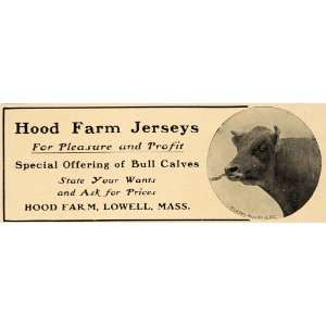 1907 Ad Hood Farm Jersey Cows Bull Lowell Massachusetts   Original 