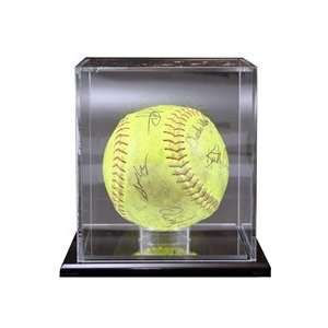  Northwest Trophy Softball Case: Sports & Outdoors