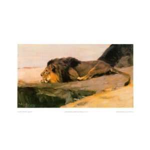  Resting Lion   Poster by Wilhelm Kuhnert (20x11)
