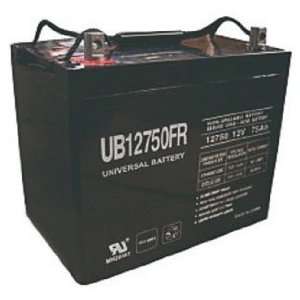  Universal Power Group D5882 Sealed Lead Acid Battery: Home 