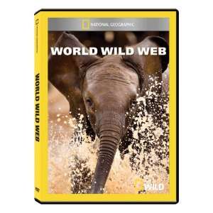  National Geographic World Wild Web DVD R: Everything Else