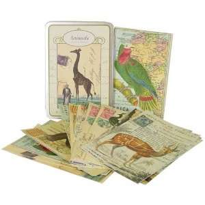  Cavallini Carte Postale Jungle Wild Animals set of 18 