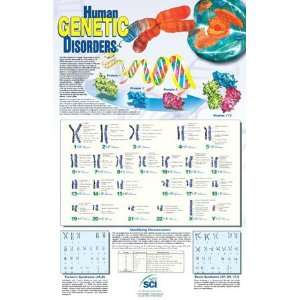 Human Genetic Disorders Poster, laminated  Industrial 