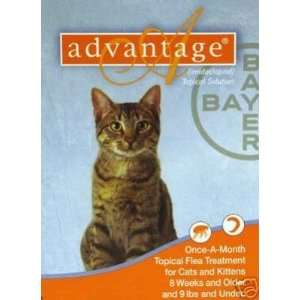  Bayer Advantage Month Long Flea Control Solution (Orange 