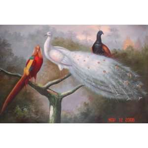   inch Animall Oil Painting Parrot &White, Blue Peacocks