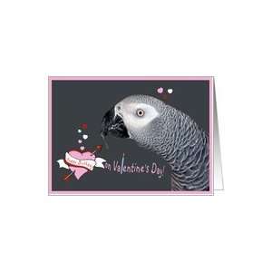 Valentines Day Birthday African Grey Parrot Card: Health 