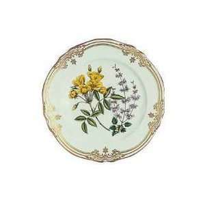   : Spode Stafford Flowers Accent Plate   Rosa.Salvia: Kitchen & Dining
