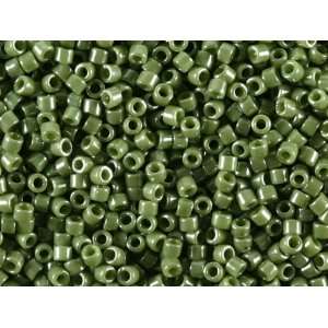    8g Opaque Pearl Aloe Green Delica Seed Beads Arts, Crafts & Sewing