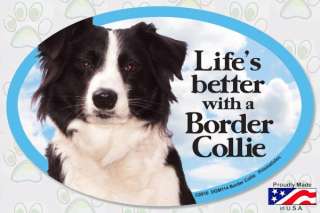   better with a Border Collie 6 x 4 Oval Magnet Made in the USA  
