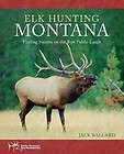 Elk Hunting Montana: Finding Success on the Best Public