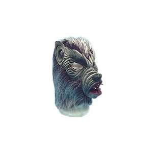   Scary Halloween Masks  Grey Werewolf Mask With Hair Toys & Games