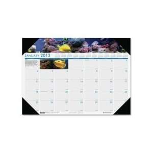  Doolittle Eco friendly Sea Life Calendar Desk Pads Office 