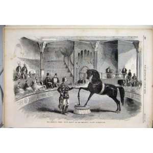  1858 American Horse Black Eagle Alhambra Palace Print 