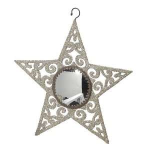  Wendy Addison Mirrored Star Ornament
