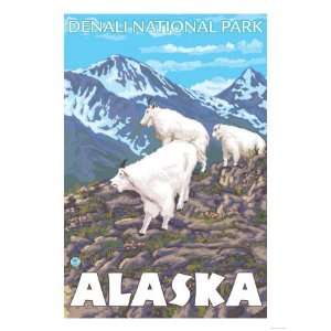 Mountain Goats Scene, Denali National Park, Alaska Giclee Poster Print 
