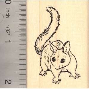  Common Brushtail Opossum Rubber Stamp Arts, Crafts 