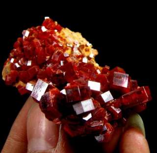 Red Vanadinite Crystal Cluster vamo9ie0109  