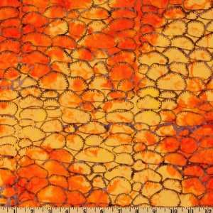  44 Wide Tonga Batik Lollipop Pods Orange Fabric By The 