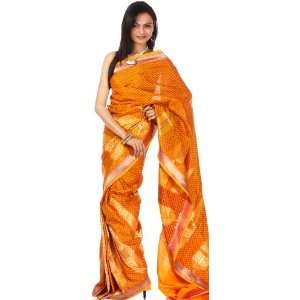   Sari from Banaras with Giant Paisleys   Pure Silk   Weaver Ansar Ali