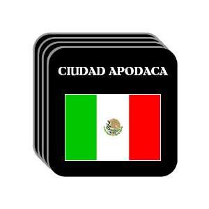  Mexico   CIUDAD APODACA Set of 4 Mini Mousepad Coasters 