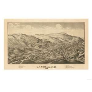  Unadilla, New York   Panoramic Map Giclee Poster Print 